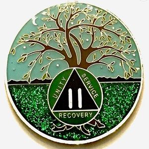 Beautiful coin! Celebrate two years sobriety!